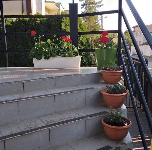 Guest house Tanagra- *